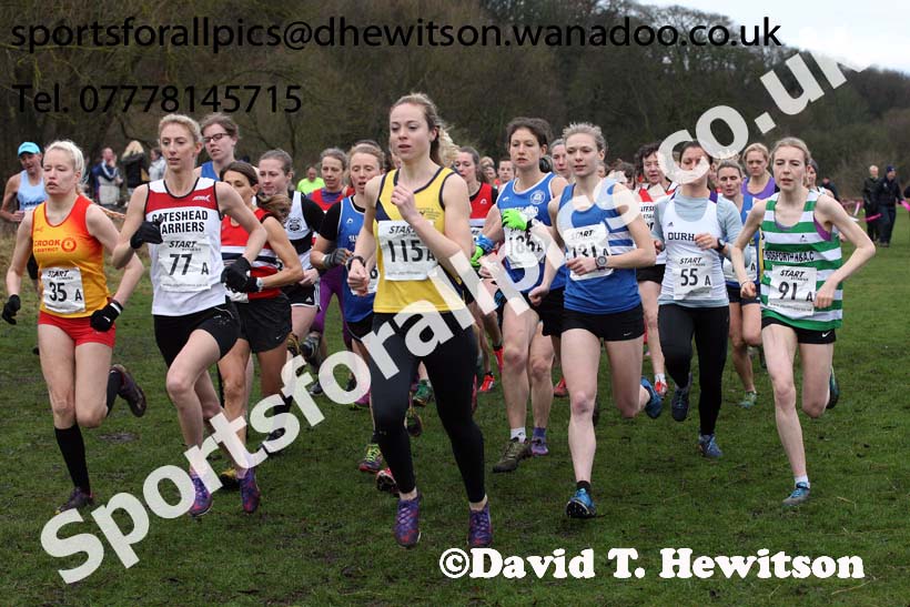 Senior and veteran womens Durham Cathedral Cross Country Relays, Maiden Castle, Durham. Photo: David T. Hewitson/Sports for All Pics